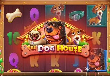 Microgaming - игровой автомат онлайн от Various с RTP 95.82%